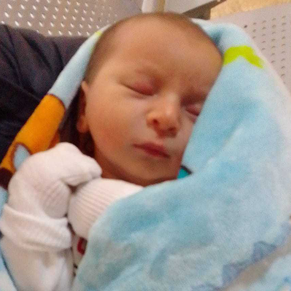 Enzo 